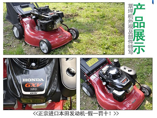手推式割草機(jī) 割草機(jī)市場(chǎng) 割草機(jī)行情